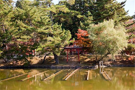 Jardin japonais de Todaiji temple, Nara, Japon Photographie de stock - Rights-Managed, Code: 855-06337507
