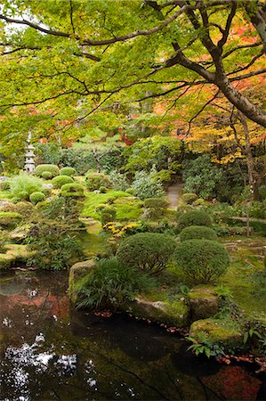 simsearch:855-06338274,k - Japanese garden in autumn, Senzen-in temple, Ohara, Kyoto, Japan Fotografie stock - Rights-Managed, Codice: 855-06338278