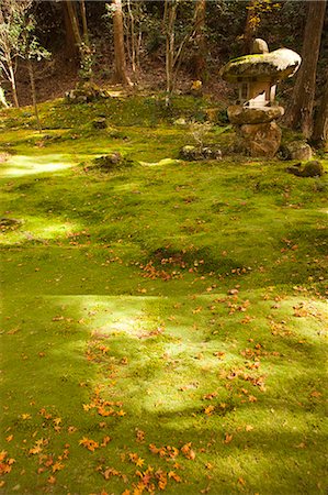 simsearch:855-06338274,k - Japanese garden in autumn, Senzen-in temple, Ohara, Kyoto, Japan Fotografie stock - Rights-Managed, Codice: 855-06338284