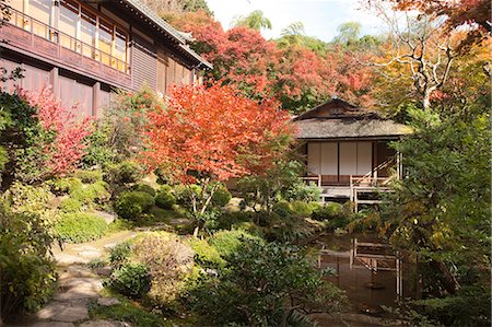 simsearch:855-06338469,k - Jakkou-in temple in autumn, Ohara, Kyoto, Japan Fotografie stock - Rights-Managed, Codice: 855-06338294