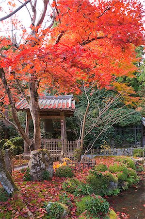 simsearch:855-06338472,k - Bell tower, Jakkou-in temple in autumn, Ohara, Kyoto, Japan Foto de stock - Con derechos protegidos, Código: 855-06338292