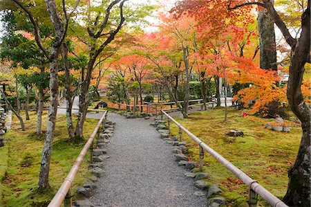 Japanese garden,  Adashino Nenbutsu-dera Temple, Sagano in autumn, Kyoto, Japan Fotografie stock - Rights-Managed, Codice: 855-06338310