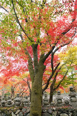 simsearch:855-06338272,k - Stone pagodas,  Adashino Nenbutsu-dera Temple, Sagano in autumn, Kyoto, Japan Stock Photo - Rights-Managed, Code: 855-06338324