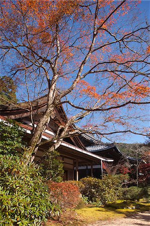 simsearch:855-06338274,k - Main hall, Saimyou-ji Temple, Takao, Kyoto, Japan Fotografie stock - Rights-Managed, Codice: 855-06338331