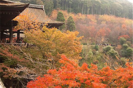 Temple Kiyomizu-dera à l'automne, Kyoto, Japon Photographie de stock - Rights-Managed, Code: 855-06338332