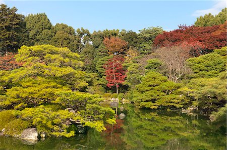 Couleurs d'automne au Shin-en jardin, Temple Heian-jingu, Okazaki, Kyoto, Japon Photographie de stock - Rights-Managed, Code: 855-06338352