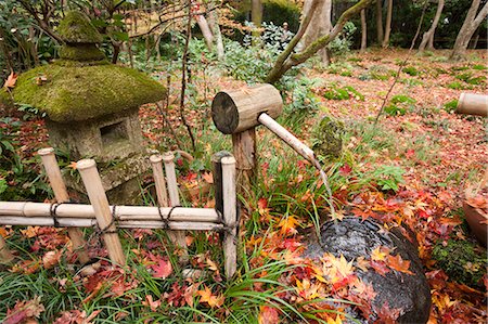 simsearch:855-06338272,k - Stone water basin, Japanese garden in Autumn, Giou-ji Temple, Sagano, Kyoto, Japan Stock Photo - Rights-Managed, Code: 855-06338395