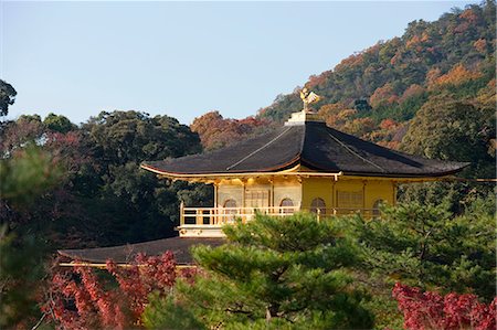 simsearch:855-06338272,k - Rokuon-ji Temple (Kinkakuji) in autumn, Kyoto, Japan Stock Photo - Rights-Managed, Code: 855-06338471