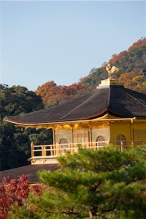 simsearch:855-06338272,k - Rokuon-ji Temple (Kinkakuji) in autumn, Kyoto, Japan Stock Photo - Rights-Managed, Code: 855-06338472