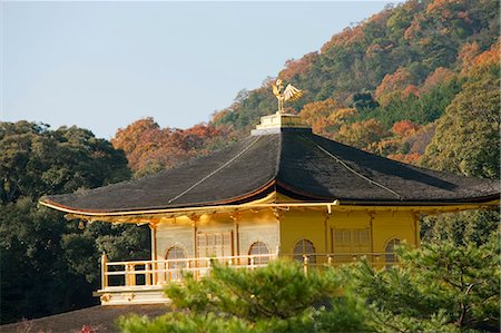 simsearch:855-06338274,k - Rokuon-ji Temple (Kinkakuji) in autumn, Kyoto, Japan Fotografie stock - Rights-Managed, Codice: 855-06338473