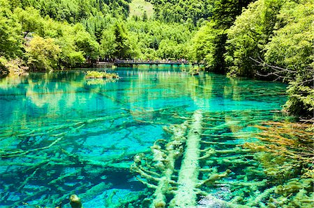 sichuan province - Cinq fleurs Lake (Wuhuahai), Jiuzhaigou, Sichuan, Chine Photographie de stock - Rights-Managed, Code: 855-06338515