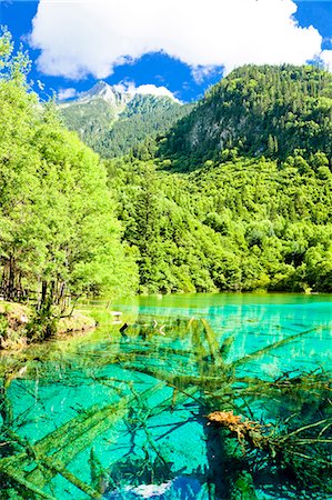 sichuan province - Five Flower Lake (Wuhuahai), Jiuzhaigou, Sichuan, China Foto de stock - Con derechos protegidos, Código: 855-06338519