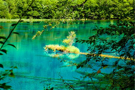 Five Flower Lake (Wuhuahai), Jiuzhaigou, Sichuan, China Foto de stock - Con derechos protegidos, Código: 855-06338513