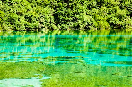 Five Flower Lake (Wuhuahai), Jiuzhaigou, Sichuan, China Foto de stock - Con derechos protegidos, Código: 855-06338528
