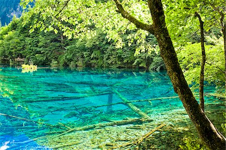 Five Flower Lake (Wuhuahai), Jiuzhaigou, Sichuan, China Foto de stock - Con derechos protegidos, Código: 855-06338529