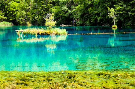 simsearch:855-06338543,k - Five Flower Lake (Wuhuahai), Jiuzhaigou, Sichuan, China Stock Photo - Rights-Managed, Code: 855-06338521