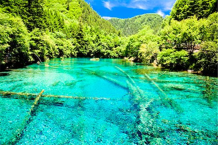 sichuan province - Cinq fleurs Lake (Wuhuahai), Jiuzhaigou, Sichuan, Chine Photographie de stock - Rights-Managed, Code: 855-06338534