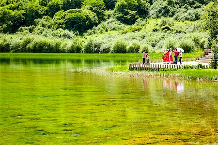 sichuan province - Five Flower Lake (Wuhuahai), Jiuzhaigou, Sichuan, China Foto de stock - Con derechos protegidos, Código: 855-06338535