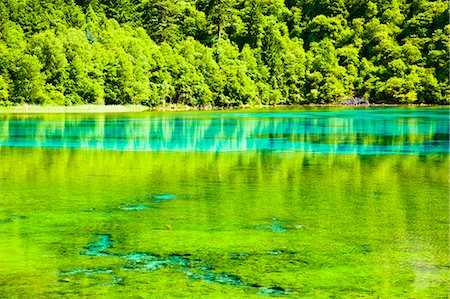 Five Flower Lake (Wuhuahai), Jiuzhaigou, Sichuan, China Foto de stock - Con derechos protegidos, Código: 855-06338538