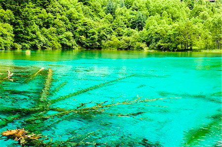 simsearch:855-06338543,k - Five Flower Lake (Wuhuahai), Jiuzhaigou, Sichuan, China Stock Photo - Rights-Managed, Code: 855-06338539
