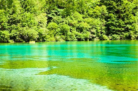 Five Flower Lake (Wuhuahai), Jiuzhaigou, Sichuan, China Foto de stock - Con derechos protegidos, Código: 855-06338530