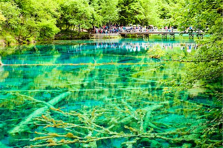 Five Flower Lake (Wuhuahai), Jiuzhaigou, Sichuan, China Foto de stock - Con derechos protegidos, Código: 855-06338531