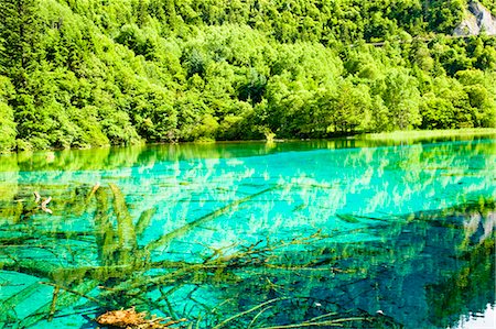 Five Flower Lake (Wuhuahai), Jiuzhaigou, Sichuan, China Foto de stock - Con derechos protegidos, Código: 855-06338532
