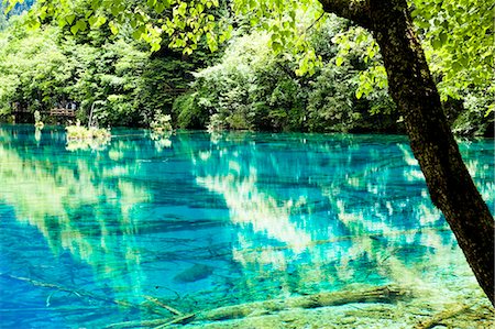 simsearch:855-06338543,k - Five Flower Lake (Wuhuahai), Jiuzhaigou, Sichuan, China Stock Photo - Rights-Managed, Code: 855-06338533