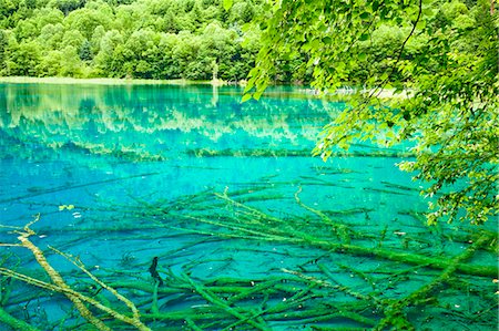 sichuan province - Cinq fleurs Lake (Wuhuahai), Jiuzhaigou, Sichuan, Chine Photographie de stock - Rights-Managed, Code: 855-06338547