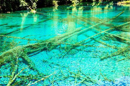 Five Flower Lake (Wuhuahai), Jiuzhaigou, Sichuan, China Foto de stock - Con derechos protegidos, Código: 855-06338549