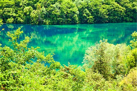 Five Flower Lake (Wuhuahai), Jiuzhaigou, Sichuan, China Foto de stock - Con derechos protegidos, Código: 855-06338542