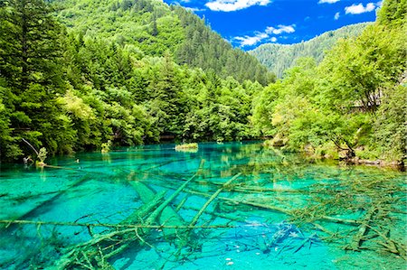 sichuan province - Cinq fleurs Lake (Wuhuahai), Jiuzhaigou, Sichuan, Chine Photographie de stock - Rights-Managed, Code: 855-06338554