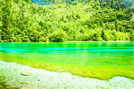 Five Flower Lake (Wuhuahai), Jiuzhaigou, Sichuan, China Stock Photo - Rights-Managed, Code: 855-06338555