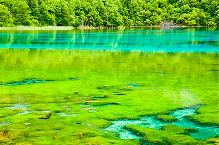 Five Flower Lake (Wuhuahai), Jiuzhaigou, Sichuan, China Foto de stock - Con derechos protegidos, Código: 855-06338556