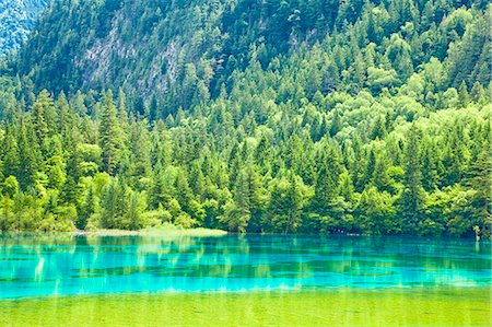 Five Flower Lake (Wuhuahai), Jiuzhaigou, Sichuan, China Foto de stock - Con derechos protegidos, Código: 855-06338558