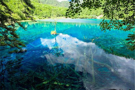 Five Flower Lake (Wuhuahai), Jiuzhaigou, Sichuan, China Foto de stock - Con derechos protegidos, Código: 855-06338559