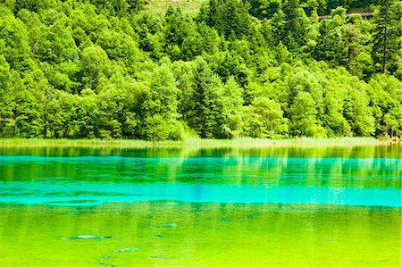 Five Flower Lake (Wuhuahai), Jiuzhaigou, Sichuan, China Stock Photo - Rights-Managed, Code: 855-06338551