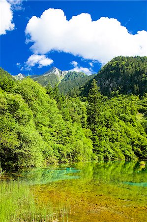Five Flower Lake (Wuhuahai), Jiuzhaigou, Sichuan, China Foto de stock - Con derechos protegidos, Código: 855-06338553