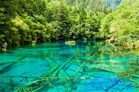 sichuan province - Cinq fleurs Lake (Wuhuahai), Jiuzhaigou, Sichuan, Chine Photographie de stock - Rights-Managed, Code: 855-06338566