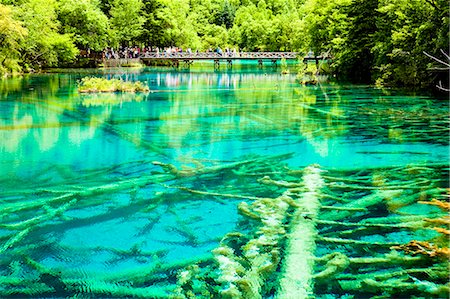 sichuan province - Cinq fleurs Lake (Wuhuahai), Jiuzhaigou, Sichuan, Chine Photographie de stock - Rights-Managed, Code: 855-06338567