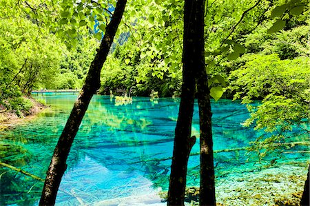 Five Flower Lake (Wuhuahai), Jiuzhaigou, Sichuan, China Foto de stock - Con derechos protegidos, Código: 855-06338560