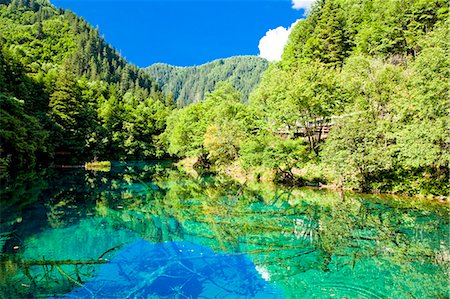 sichuan province - Cinq fleurs Lake (Wuhuahai), Jiuzhaigou, Sichuan, Chine Photographie de stock - Rights-Managed, Code: 855-06338562