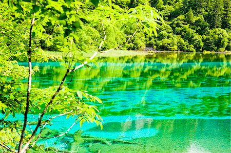 Five Flower Lake (Wuhuahai), Jiuzhaigou, Sichuan, China Foto de stock - Con derechos protegidos, Código: 855-06338570