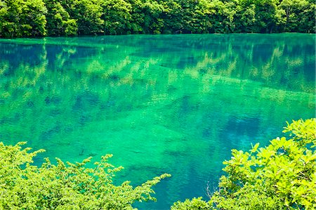 simsearch:855-06338543,k - Five Flower Lake (Wuhuahai), Jiuzhaigou, Sichuan, China Stock Photo - Rights-Managed, Code: 855-06338584