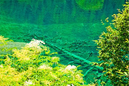 Five Flower Lake (Wuhuahai), Jiuzhaigou, Sichuan, China Foto de stock - Con derechos protegidos, Código: 855-06338588