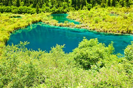 Shuzheng lakes (Shuzheng Qunhai),  Jiuzhaigou, Sichuan, China Stock Photo - Rights-Managed, Code: 855-06338582