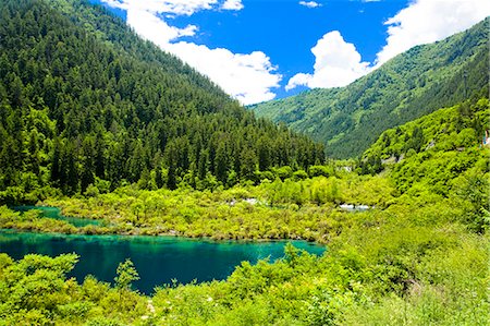 sichuan province - Lacs de Shuzheng (Shuzheng Qunhai), Jiuzhaigou, Sichuan, Chine Photographie de stock - Rights-Managed, Code: 855-06338583