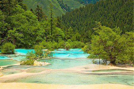 sichuan province - Jade-bathing Pond, Huang Long, Sichuan, China Foto de stock - Con derechos protegidos, Código: 855-06338619