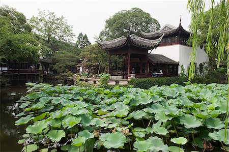 Humble administrator's garden (Zhuozhengyuan), Suzhou, Jiangsu Province, China Foto de stock - Con derechos protegidos, Código: 855-06338883