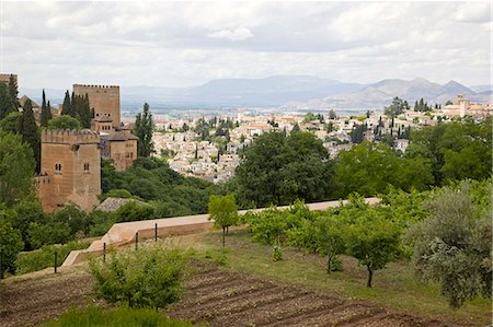 Generalife gardens, Alhambra, Granada, Andalucia, Spain, Europe Stock Photo - Rights-Managed, Code: 855-08420544